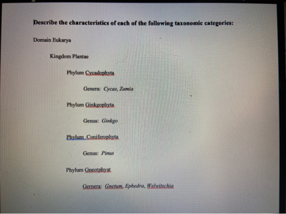 Describe the characteristics of each of the following taxonomic categories: Domain Eukarya Kingdom Plantae Phylum Cycadophyta
