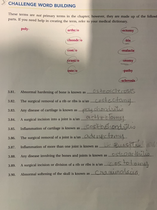 CHALLENGE WORD BUILDING These terms are not primary terms in the chapter; however, they parts. If you need help in creating t