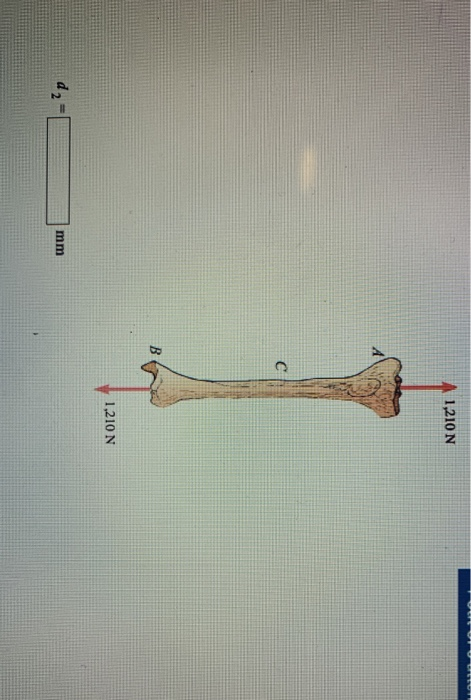 1210 N 1,210 N