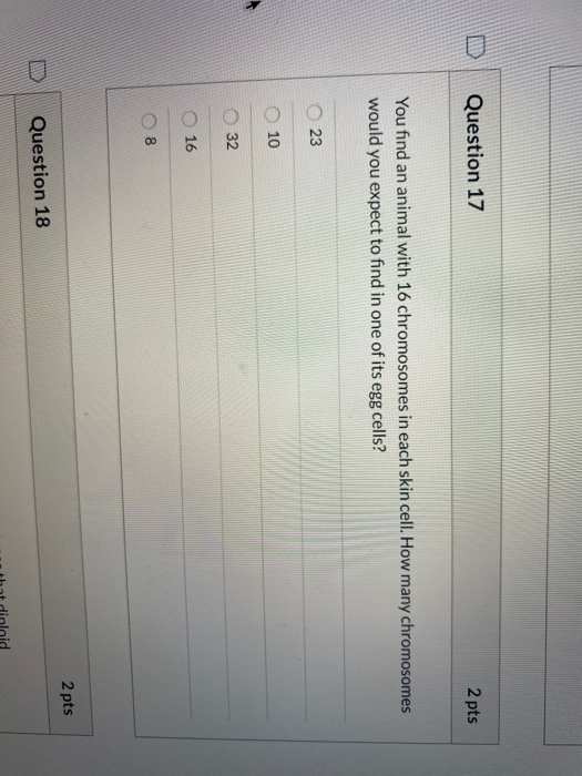 Question 17 2 pts You find an animal with 16 chromosomes in each skin cell. How many chromosomes would you expect to find in