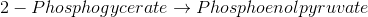 2 – Phosphogycerate + Phosphoenolpyruvate