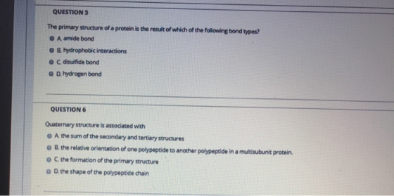 QUESTIONS The primary structure of a protein is the result of which of the following bond types? O A amide bond B. hydrophobi