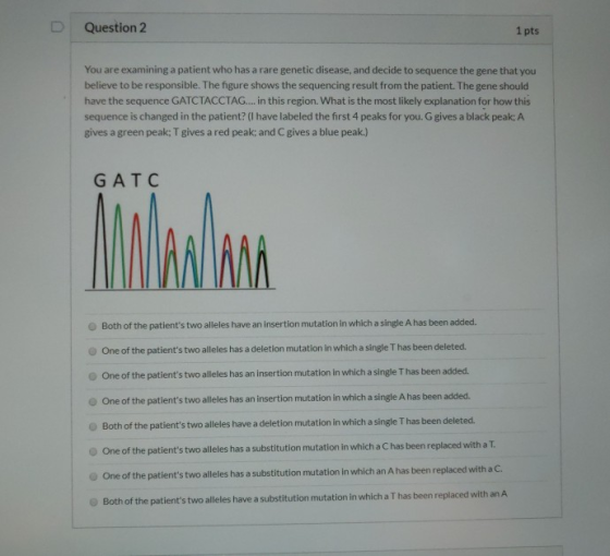Question 2 1 pts You are examining a patient who has a rare genetic disease, and decide to sequence the gene that you believe