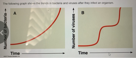 The following graph shows the trends in bacteria and viruses after they infect an organism. Number of bacteria Number of viru
