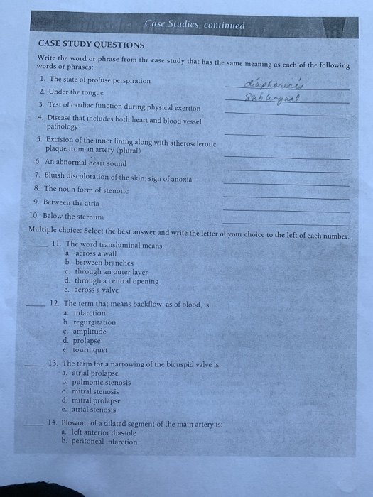 Case Studies, continued CASE STUDY QUESTIONS Write the word or phrase from the case study that has the same meaning as each o