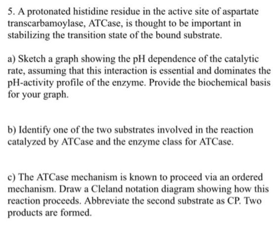 5. A protonated histidine residue in the active site of aspartate transcarbamoylase, ATCase, is thought to be important in st