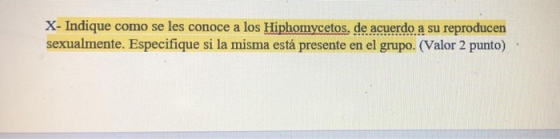 X- Indique como se les conoce a los Hiphomycetos, de acuerdo a su reproducen sexualmente. Especifique si la misma está presen