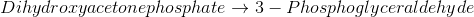Dihydroxyacetonephosphate +3 – Phosphoglyceraldehyde
