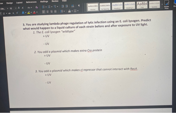 Review raw Design Layout References (lo - 12 AA AAA Mailings E View DE ABCDate Aalboote AaBCCDBCD AaBb The C DE LA Sube S tyl