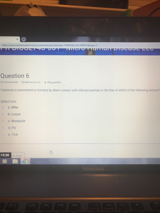 https//uno.mrooms3.net/mod/quia/attempt.php?attempt-7448458cmid-9400258page 5 Question6 Not yet answered Marked out of 1.oo F