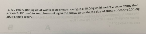 5. (10 pts) A 100.-kg adult wants to go snow-shoeing. If a 40.0-kg child wears 2 snow shoes that are each 300. cm2 to keep fr