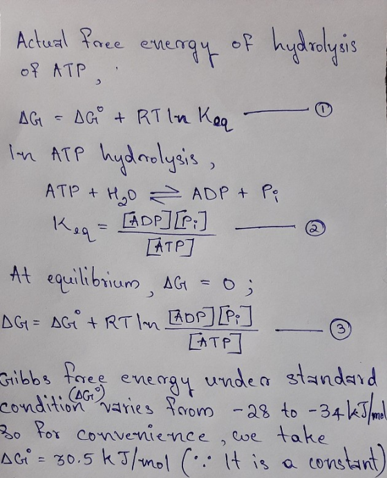 Actual face energy of hydrolysis of ATP AG = AGO + RT la Kag - In ATP hydrolysis, ATP + H₂O Ž ADP + Po Kea = [ADP] [ſ ] (ATP]