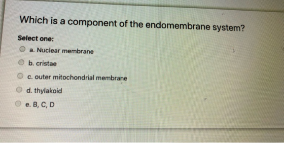 Which is a component of the endomembrane system? Select one: a. Nuclear membrane b. cristae c. outer mitochondrial membrane O