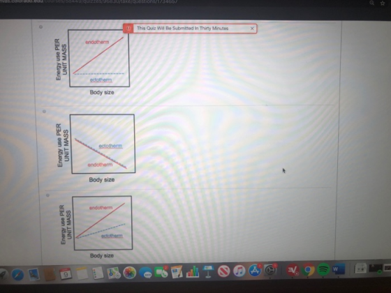 This Quiz We Be Submitted in ThirtyMinutes X Energy use PER UNIT MASS ecotherm Body size Energy use PER UNIT MASS ectotherm e