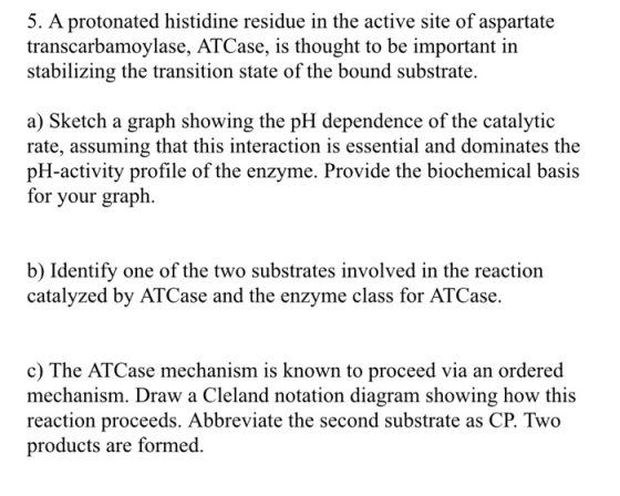 5. A protonated histidine residue in the active site of aspartate transcarbamoylase, ATCase, is thought to be important in st