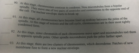 90. At es continue to condense. New microtubules form a bipolar of two pairs of centrioles and centrosomes to the opposite end of the cell. The nuclear envelope starts to break tp 91. At this stage, all become osomes have become lined up midway between the poles of the condensed form. itosis and the cell cycle, chromosomes are in their most tightly 92. At this s stage, sister chromatids of each chromosome move apart and microtubules r s to opposite spindle poles. Other spindle microtubules push the poles farther apart t this stage, there are two clusters of chromosomes, which decondense. Patches of new membrane fuse to form a new nuclear envelope.