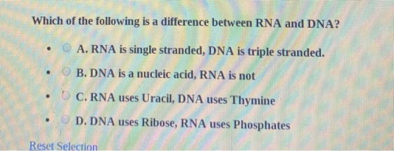 Which of the following is a difference between RNA and DNA? • O A. RNA is single stranded, DNA is triple stranded. . OB. DNA