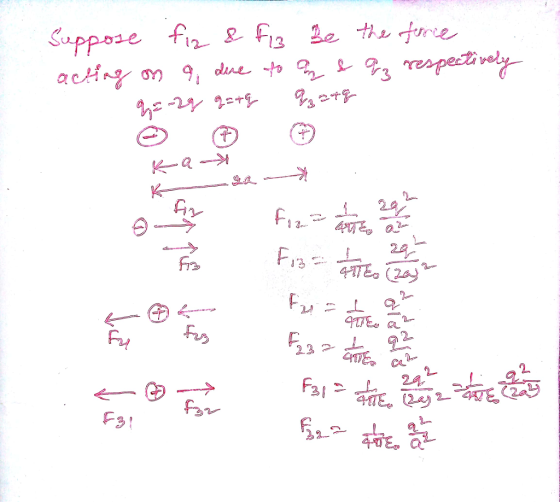 24 13 F3t