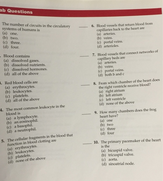 The number of circuits in the circulatory system o