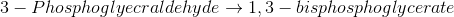 3- Phosphogłyecraldehyde 1,3 – bisphosphoglycerate