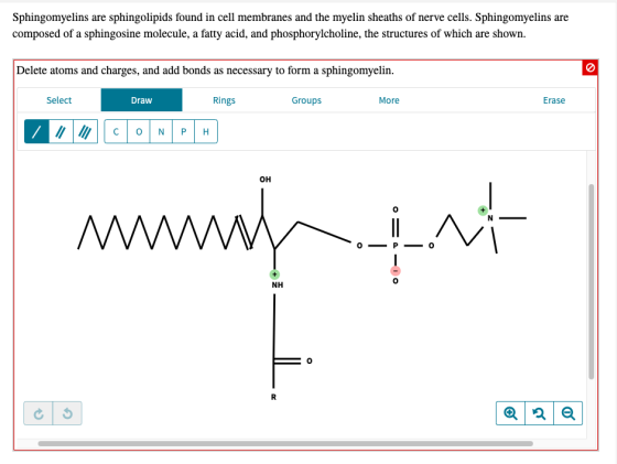 Sphingomyelins are sphingolipids found in cell membranes and the myelin sheaths of nerve cells. Sphingomyelins are composed o