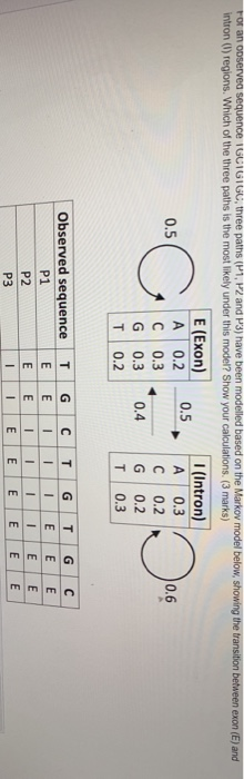 For an observed sequence IGCIGIGC, three paths (P1, P2 and P3) have been modelled based on the Markov model below, showing th