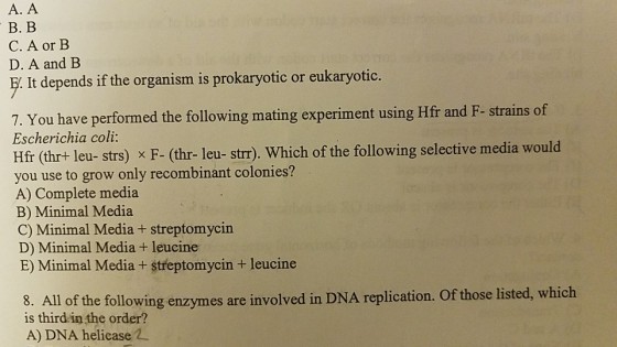 A. A B. B C. A or B D. A and B . It depends if the organism is prokaryotic or eukaryotic. 7. You have performed the following mating experiment using Hfr and F- strains of Escherichia coli: Hfr (thr+ leu- strs) x F- (thr- leu- str). Which of the following selective media would you use to grow only recombinant colonies? A) Complete media B) Minimal Media C) Minimal Media + streptomycin D) Minimal Media + leucine E) Minimal Media +streptomycin + leucine 8. All of the following enzymes are involved in DNA replication. Of those listed, which is third in the order? A) DNA helicase 2