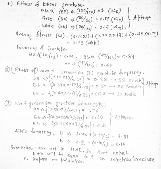 1.) Fitness of Kihens genotuber Black (BB) => (120/120) = 2 (Wh) 1 Grey (Bb) (20/120) = 0.17 (W12) | Afbroy. While (bb) 37 (