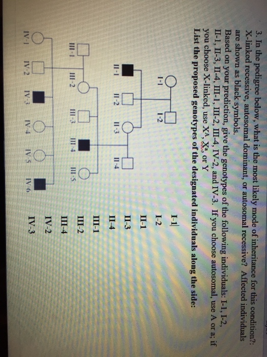 In the pedigree below, what is the most likely mod