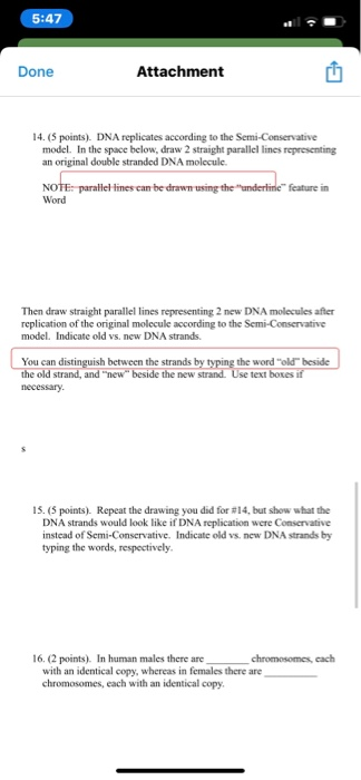 5:47 Done Attachment 14. (5 points). DNA replicates according to the Semi-Conservative model. In the space below, draw 2 stra