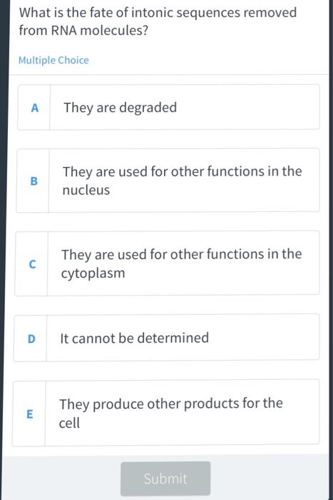 What is the fate of intonic sequences removed from