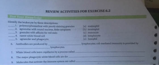 REVIEW ACTIVITIES FOR EXERCISE 6.2 Identify the leukocyte by these descriptions: 2. _3. 1. polymorphonuclear with poorly staining granules (a) eosinophil (b) neutrophil agranular with round nucleus, little cytoplasm granules with affinity for red stain rarest white blood cell agranular and phagocytic (c) monocyte (d) lymphocyte (e) basophi _-4. 5, lymphocytes; cell-mediated immunity is provided by 6. Antibodies are produced by 7. White blood cells leave capillaries by a process called 8. The major phagocyic white blood cells are the lymphocytes 9. Molecules that activate the immune system are called