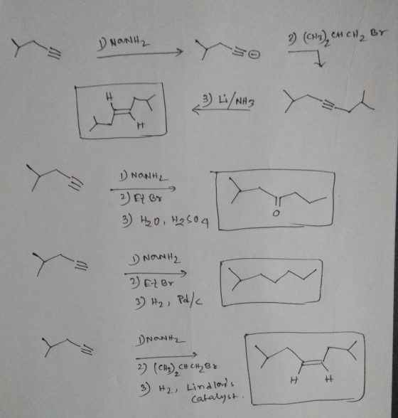 NanH ) Li/NH3 H NaNH 1 NaNH2 DNaNH2 H H Lindlads H2 Catalyst