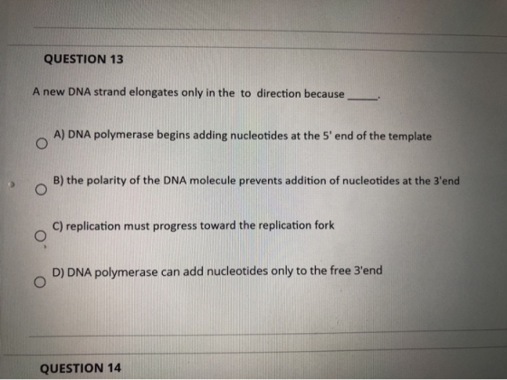 QUESTION 13 A new DNA strand elongates only in the to direction because A) DNA polymerase begins adding nucleotides at the 5