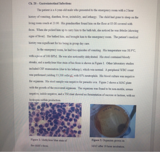 Ch. 20- Gastrointestinal Infections The patient is a 4-year-old male who presented to the emergency room with a 2 hour histor