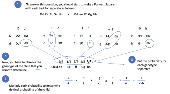 To answer this question, you should start to make a Punnett Square with each trait for separate as follows 1 Dd ee Ff Gg Hh D