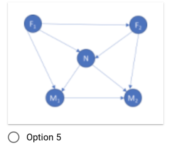 M O Option 5