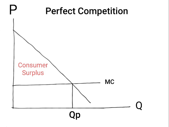 Р Perfect Competition Consumer Surplus MC Qp