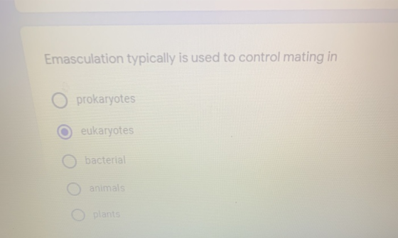 Emasculation typically is used to control mating in o prokaryotes O eukaryotes O bacterial O O animals plants
