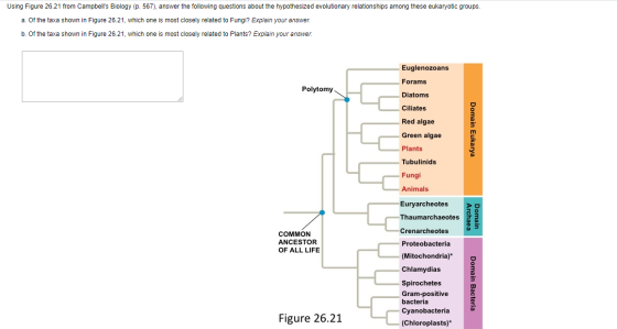 Using Figure 26.21 from Campbells Biology (p. 567), answer the following questions about the hypothesized evolutionary relat