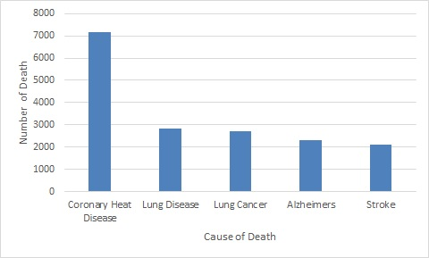 8000 7000 6000 5000 4000 E 3000 Coronary Heat Lung Disease Lung Cancer Alzheimers Stroke Disease Cause of Death