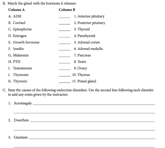 B. Match the gland with the hormone it releases: Column A Column B 1. Anterior pituitary A. ADH 2. Posterior pituitary B. Cortisol C. Epinephrine 3. Thyroid. 4. Parathyroid D. Estrogen E. Growth hormone 5. Adrenal cortex E Insulin 6. Adrenal medulla G. Melatonin 7. Pancreas H. PTH 8. Testis I. Testosterone 9. ovary J. Thymosin 10. Thymus 11. Pineal gland K. Thyroxin C. State the causes of the following endocrine disorders. Use the second line following each disorder to add any notes given by the instructor. 1. Acromegaly 2. Dwarfism 3. Giant ism