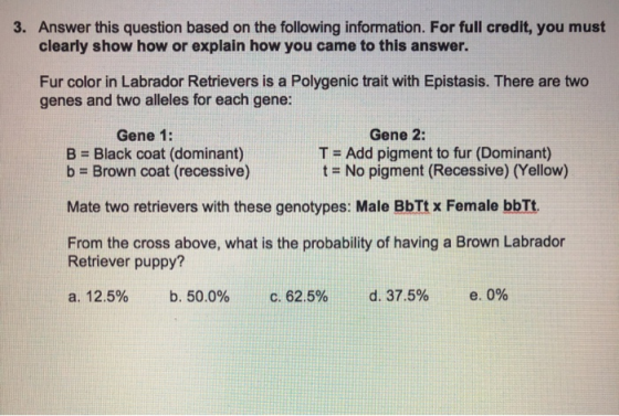 3. Answer this question based on the following information. For full credit, you must clearly show how or explain how you cam