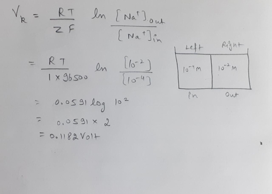 ZF [Nat] in Right - R e 1 x 960o en [102] 10m 10am = 0.0591 log 102 = 0.0591 x 2 = 0. 1182 Volt