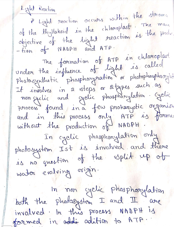 Light Reaction - Light reaction occurs within the strona 1 of the thyllakoid in the chloroplast. The main of objective the li