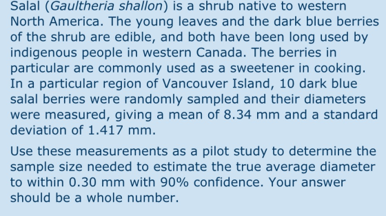 Salal (Gaultheria shallon) is a shrub native to western North America. The young leaves and the dark blue berries of the shru