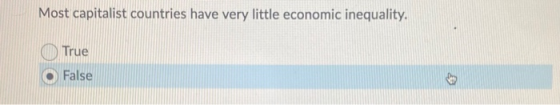Most capitalist countries have very little economic inequality. True False