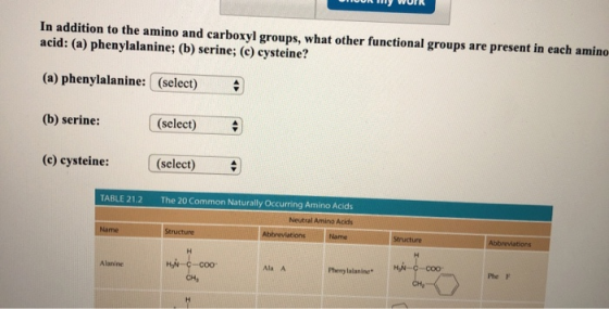 In addition to the amino and carboxyl groups, what other functional groups are present in each amino acid: (a) phenylalanine;