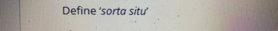 Define sorta situ