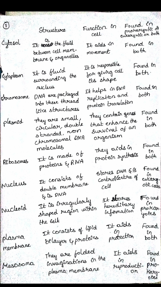 StuchuxeFunckion tn Found eo tic or both secdb the HadTl alds n Found tn bekween cell mam bae bo th eoganells movemert cell beHh sworoundeng tha tts shape nucleus tnbo these thrad alicaton and both ara amall, Thay a, oubli that enhance te tn contain genes Found btnandad, non swwtval of an ongantmanbo moeculas o stores DAA 6 Found doubla sos Found shaped ragionhadun inemaktnkar tn the kelk lels Fund. »oteina oh bo twaginattons tn the l aids plama membraphaducti pa on